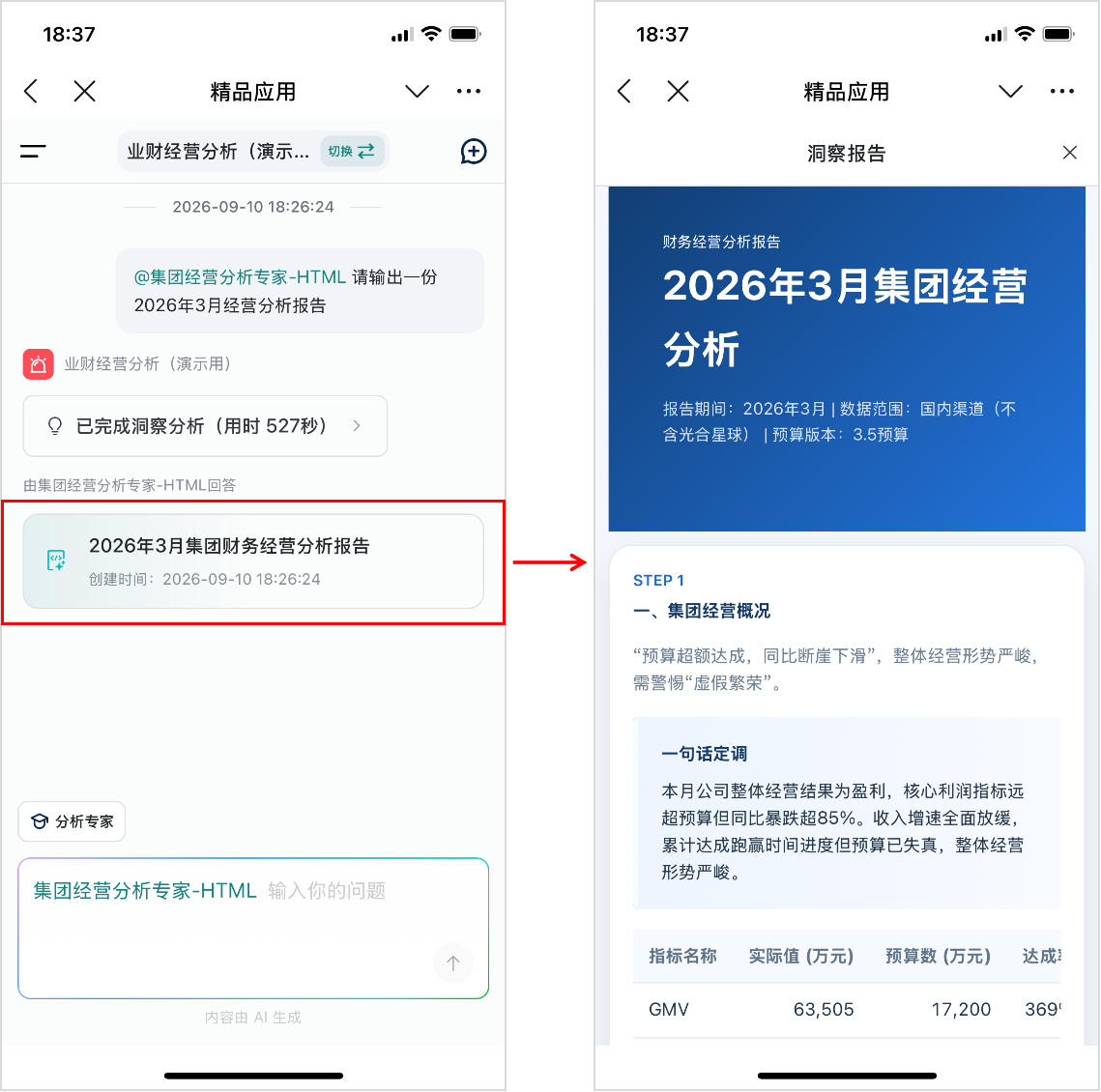 报告类型